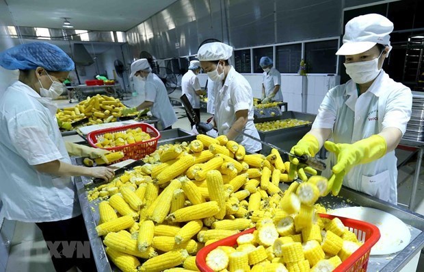 Produits agricoles des perspectives prometteuses grâce au RCEP
